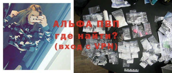 дурь Няндома