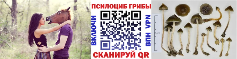 Галлюциногенные грибы мухоморы  Тетюши 